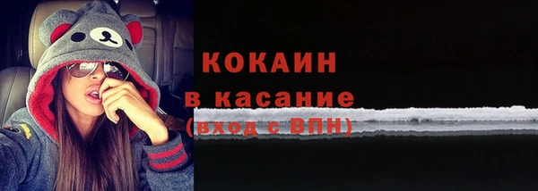 ГАЛЛЮЦИНОГЕННЫЕ ГРИБЫ Кодинск