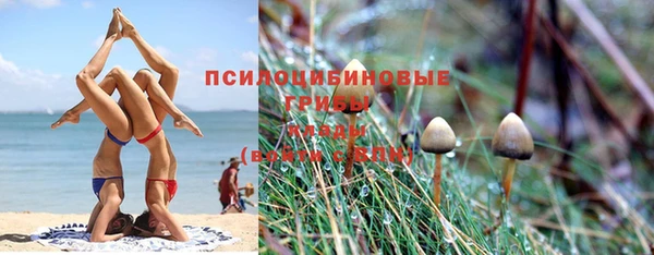 марки nbome Козельск