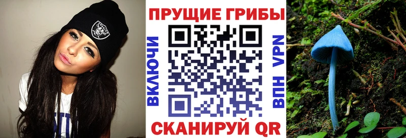 Купить  Камешково  Псилоцибиновые грибы Psilocybe 
